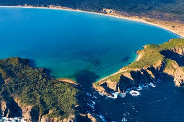 Predator Free Rakiura
